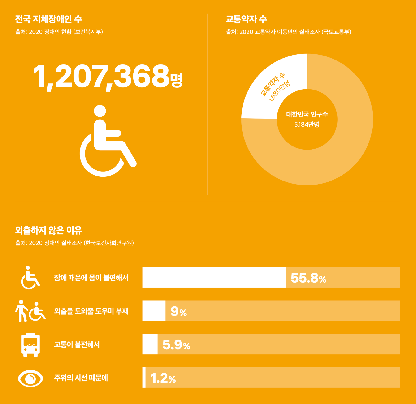 전국 지체장애인수, 교통약자수, 외출하지 않은 이유 통계 이미지