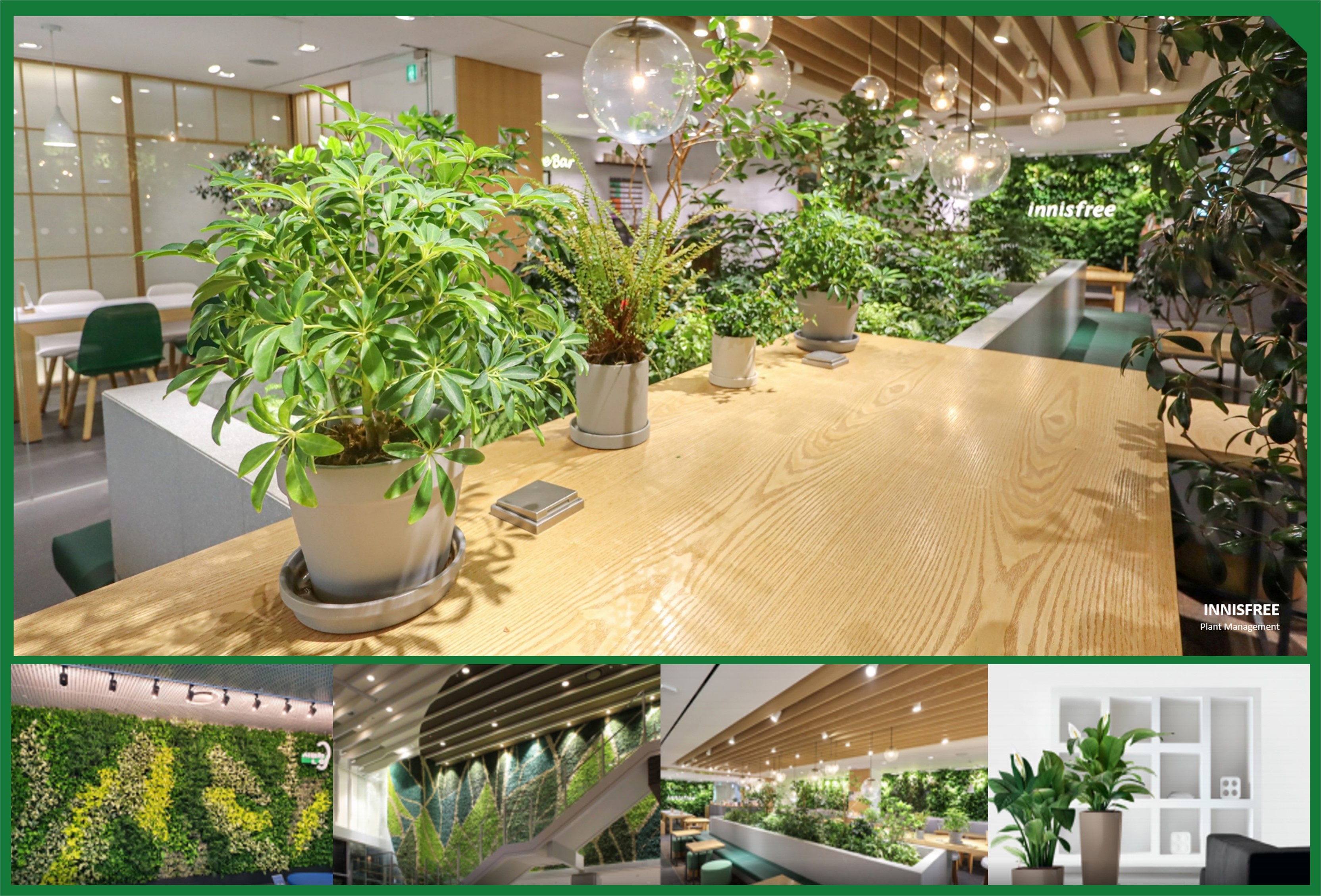 각종 초록색 식물 화분과 정돈된 벽면 식물 조경이 보이는 브라더스키퍼의 식물 인테리어 조경 사업 모습 예시들